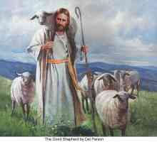Sbor - je Boží ovčín. Náboženský význam pojmů „stáda“ a…