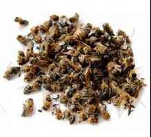 Bee Pomorie - všelék na všechny neduhy