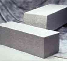 Pěnový beton či pórobeton: jaký materiál zvolit pro stavbu rodinného domu?