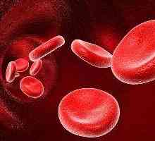 První negativní krevní skupina: její vlastnosti a účinky na těhotenství.
