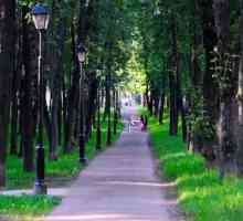 Petrovský Park a jeho zajímavosti