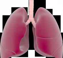 Tuberkulózní zánět pohrudnice: Druhy, příčiny a léčba