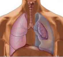 Pneumotorax plic: příčiny, příznaky a první pomoc