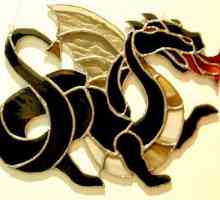 Podle čínského kalendářního roku draka - který rok? Charakteristika draka rok