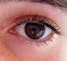 Proč svědění očí? Popis důvodů