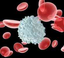 Proto v krevních leukocytů snížen?