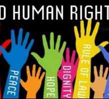 Proč je Mezinárodní den lidských práv