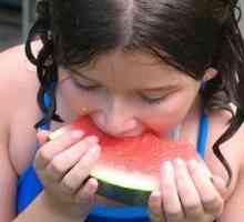 Proč otrava meloun dochází a jak je to nebezpečné?