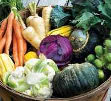 Podzimny pěstování zeleniny. Tajemství a tipy chalupářů, zahrádkáři a zahradníci