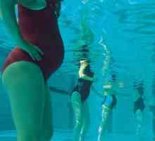 Pojďme se bavit o tom, zda je možné, aby těhotné ženy jít do bazénu