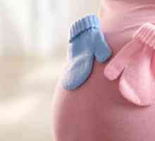 Pohlaví dítěte na srdeční tep na 12 týdnů. Určování pohlaví plodu srdeční tep