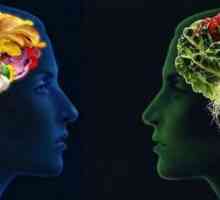 Užitečné produkty pro mozek a paměť