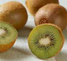 Výhody a poškozuje kiwi - zvážit chlupaté zelené plody zavřít