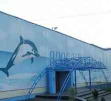 Hostující delfináriu Jaroslavl - výbuch radosti a pozitivních emocí!