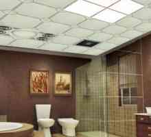 Stropy pro koupelny: Nabízí interiérové ​​dekorace