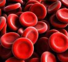 Zvýšené červených krvinek v krvi nebo moči: hlavní důvody