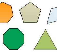 Правильный многоугольник. Число сторон правильного многоугольника