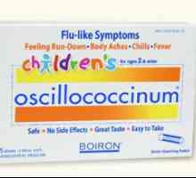 Produkt "Oscillococcinum": analog. Co může nahradit „Oscillococcinum“?