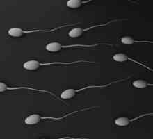 Za jakých potíží pojavljatsja transparentní spermie