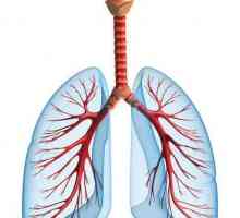 Příčiny a příznaky zápalu plic u dítěte