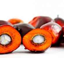 Využívání palmového oleje s přínosy pro zdraví