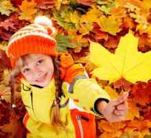 Známky podzimu pro děti v předškolním věku. Rčení o podzimu pro děti