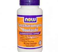 Probiotických „Saccharomyces boulardii“: návod k použití, popis, složení a…