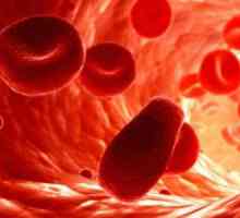 Životnost červených krvinek lidí a zvířat