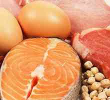 Produkty s nejvyšším obsahem bílkovin: potraviny pro zdraví a krásu