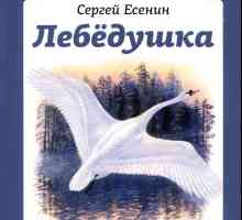 Произведение есенина "лебедушка". Как поэт относится к лебедушке?