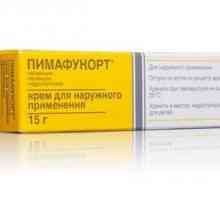 Protizánětlivé a antimykotické masti „pimafukort“: návod k použití