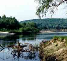 Псел - река Восточно-Европейской равнины. Географическое описание, хозяйственное использование и…