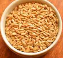 Pšeničné cereálie v multivarka „Redmond“: vaření tajemství