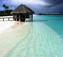 Paradise Maledivy - místo, které rozhodně stojí za návštěvu