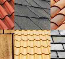 Pestrá střecha - typy povlaků