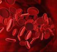 RBC: analýza krve, dekódování, rychlost a hodnotu. Normální rychlost červených krvinek (RBC) v krvi