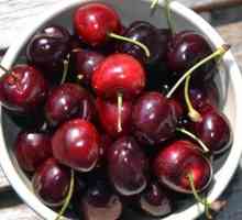Recept třešně ve vlastní šťávě: vitamíny v bance