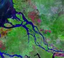 Река Амазонка - самая полноводная река в мире