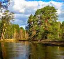 River Nerskaya řeka v Moskvě: popis, vlastnosti, fotky