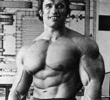Růst Arnold Schwarzenegger je výška sochy Svobody!