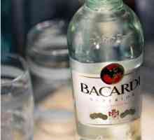 Co pít „Bacardi“: historie pití, jeho odrůdy, stejně jako koktejly recepty na…