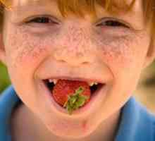 V jakém věku může dát dítěti jahody: tipy a triky