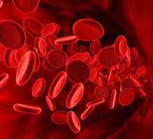 Nejvzácnější krevní skupina - jednotlivé charakteristiky