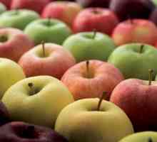 Široká škála odrůd jablek