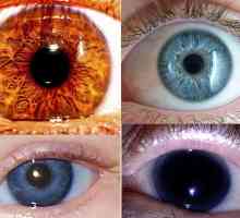 Самый редкий цвет глаз - какой он?