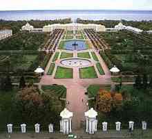 St. Petersburg: Peterhof atrakce