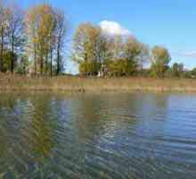 Shatsky Lakes: Vyhledejte a rekreaci