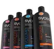 Šampon „Cieza“: hodnocení odborné péče o vlasy