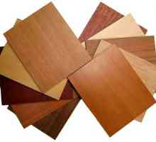 Dýha - je alternativní náhrada z masivního dřeva. Interiérové ​​dveře dýha: vlastnosti a výhody