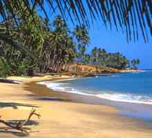 Sri Lanka v červnu. Velkou dovolenou a vzrušení
